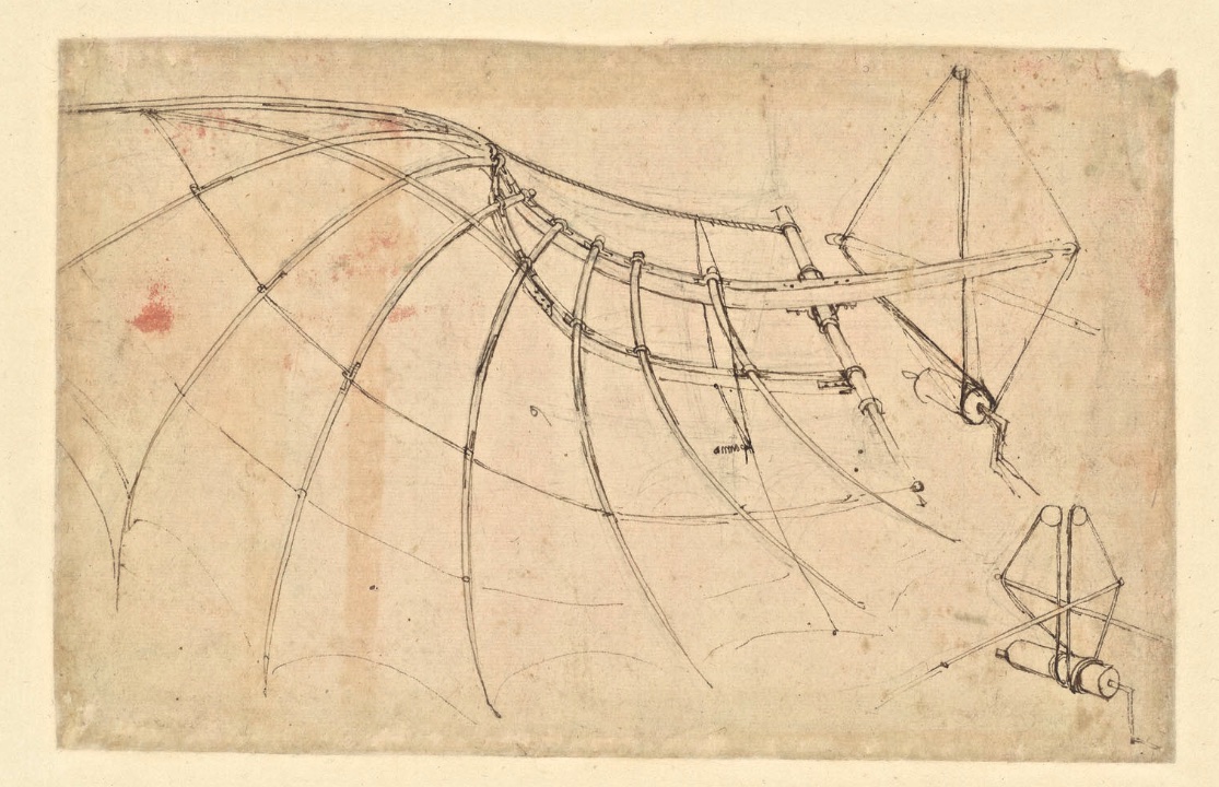 Leonardo